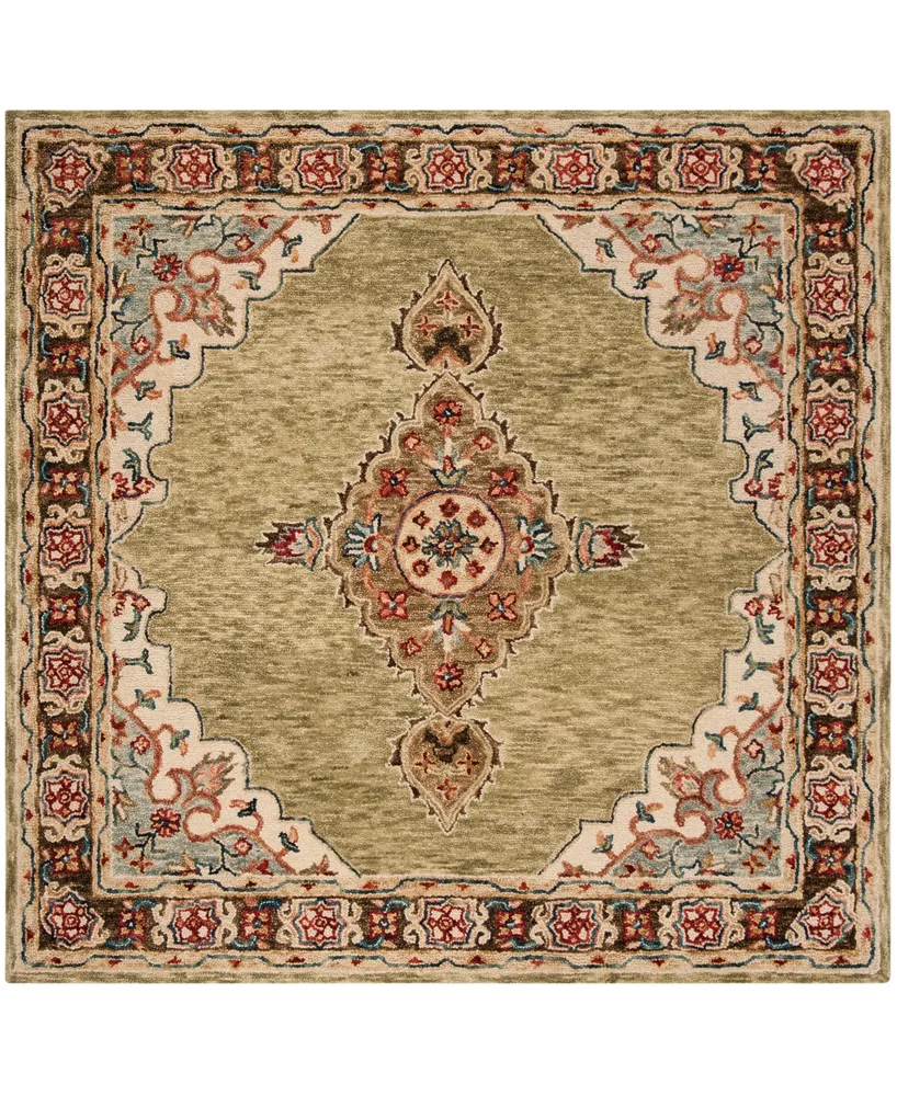 Safavieh Aurora APN506 5' x 5' Square Area Rug