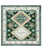 Safavieh Aurora Apn706 Area Rug