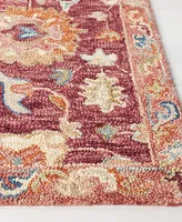 Safavieh Aurora APN144 8' x 10' Area Rug