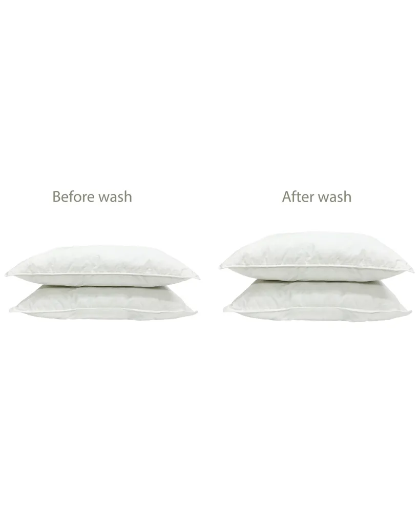 Charter Club Continuous Clean Stain Resistant Pillow, Standard, Created for Macy's