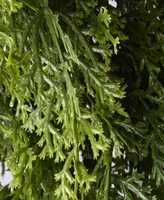 National Tree Company 24" Arborvitae Wreath