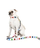 Kate Spade New York Adventure Stripe Dog Leash