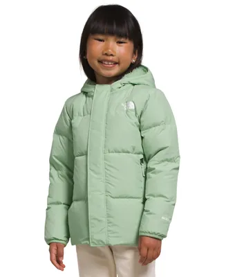 The North Face Toddler & Little Girls North Down Hooded Jacket
