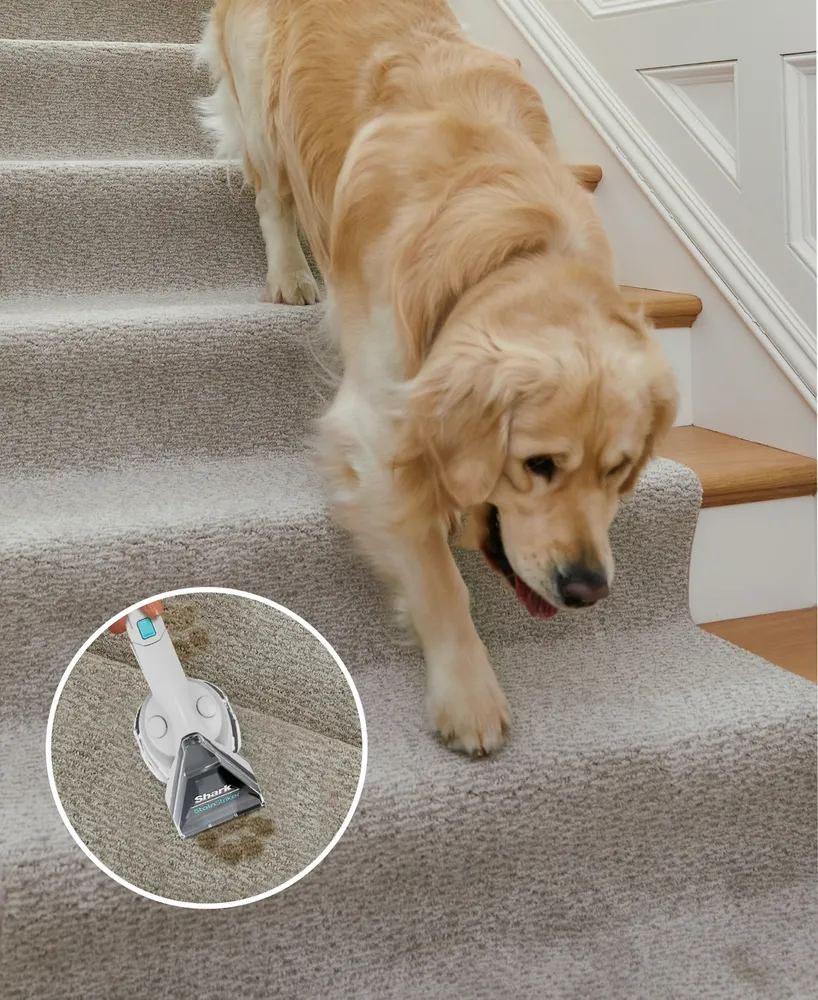 Shark CarpetXpert Deep Carpet Cleaner with StainStriker Technology