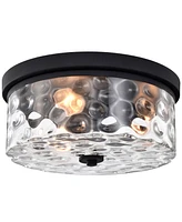 Moira 12" 2-Light Indoor Flush Mount with Light Kit