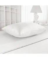 Lauren Ralph Lauren Won't Go Flat Foam Core Firm Density Down Alternative Pillow