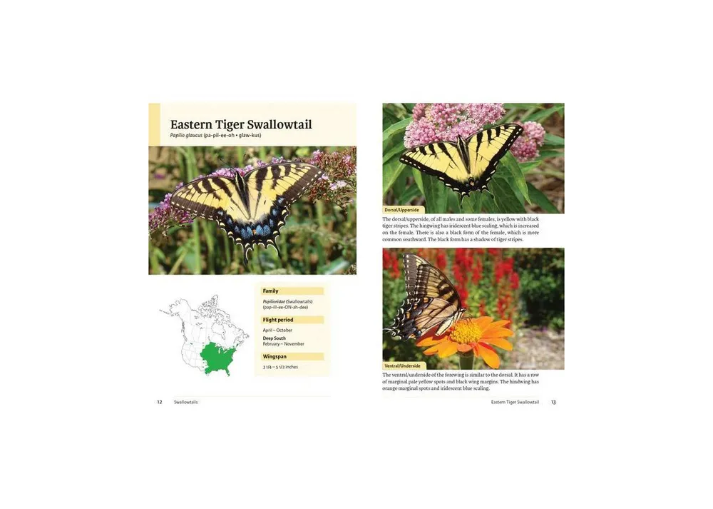 Raising Butterflies and Moths in the Garden by Brenda Dziedzic