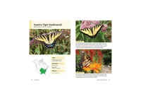 Raising Butterflies and Moths in the Garden by Brenda Dziedzic