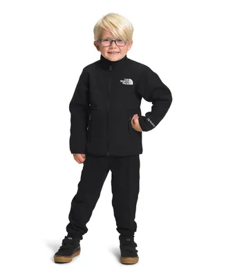 The North Face Toddler and Little Boys Denali Lightweight Jacket
