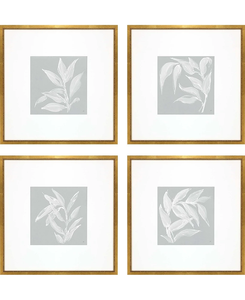 Leaf Study Framed Art, Set of 4