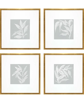 Leaf Study Framed Art, Set of 4