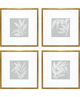 Leaf Study Framed Art, Set of 4