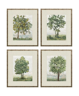 Countryside Growth Framed Art, Set of 4