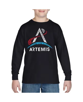 Nasa Artemis Logo