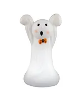 Mr. Halloween 24" Outdoor Ghost Blow Mold