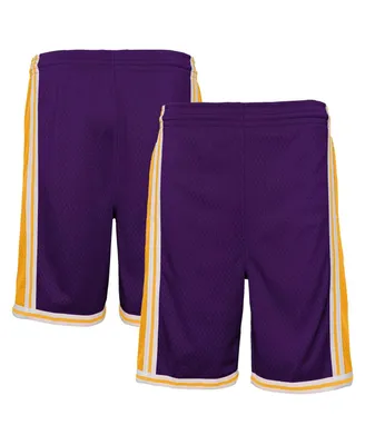 Big Boys Mitchell & Ness Purple Los Angeles Lakers Hardwood Classics Swingman Shorts