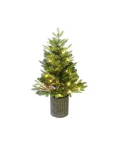 Kurt Adler 32" Northern Light Pot Tree with Fiber-Optics and Warm Led Lights