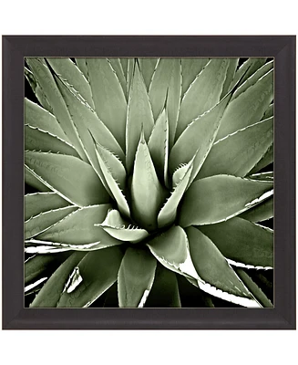 Green Succulent Iii Framed Art