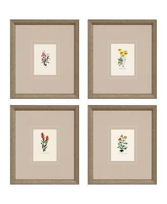 Western Wildflower Framed Art, Set of 4