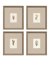 Western Wildflower Framed Art, Set of 4