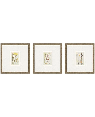 Antique-Like Botanical Ii Framed Art, Set of 3