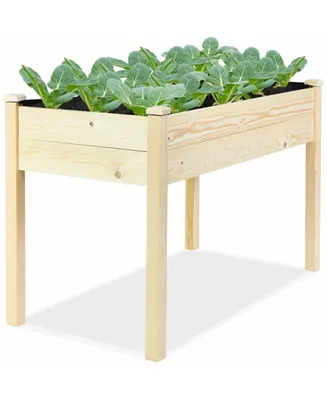 Wooden Raised Vegetable Garden Elevated Grow Vegetable Planter