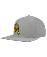 Men's Pro Standard Gray Tuskegee Golden Tigers Evergreen Mascot Snapback Hat