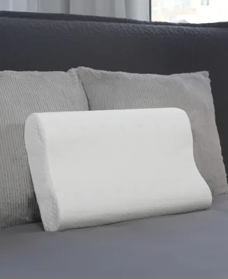 Therapedic Premier Clean Comfort Memory Foam Contour Pillow, Standard/Queen