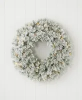 Seasonal Flocked Winter Fir 24" Flocked Hard Needle Wreath 160 Tips, 50 Clear Lights Ul