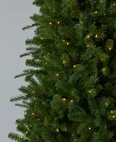 Seasonal Valley Pine 9' Pre-Lit Pe, Pvc Tree with Metal Stand, 1467 Tips, 550 Led Lights