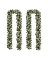 Glitzhome 2 Pack 6' Glittered Pinecones and Berries Christmas Garl and with 50 Warm White Lights and Timer
