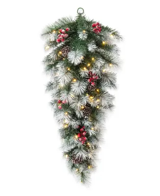 Glitzhome 3' Pre-Lit Pinecones and Red Berries Artificial Christmas Teardrop Swag with 50 Warm White Lights and Timer