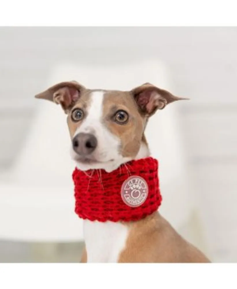 Chalet Dog Sweater | Red