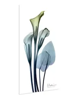 Empire Art Direct "CaLIa LIly" Frameless Free Floating Tempered Glass Panel Graphic Wall Art, 48" x 24" x 0.2"