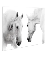 Empire Art Direct "Reflection" Frameless Free Floating Tempered Glass Panel Graphic Wall Art, 32" x 48" x 0.2"
