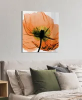 Empire Art Direct "Poppy Orange" Frameless Free Floating Tempered Glass Panel Graphic Wall Art, 24" x 24" x 0.2"