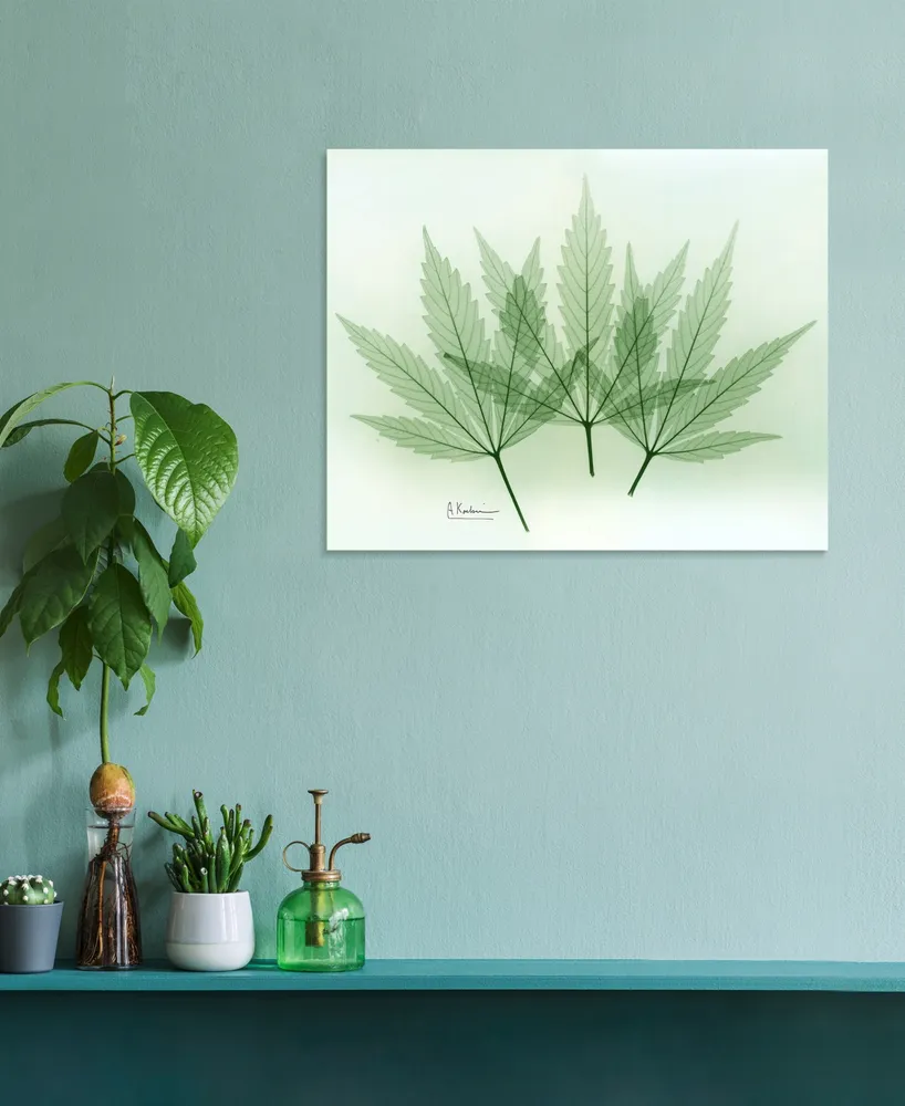 Empire Art Direct "Green Flower" Frameless Free Floating Tempered Glass Panel Graphic Wall Art, 16" x 20" x 0.2"