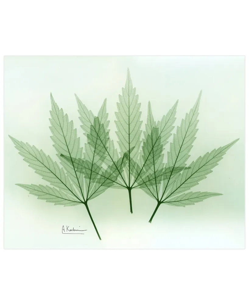 Empire Art Direct "Green Flower" Frameless Free Floating Tempered Glass Panel Graphic Wall Art, 16" x 20" x 0.2"