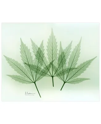 Empire Art Direct "Green Flower" Frameless Free Floating Tempered Glass Panel Graphic Wall Art, 16" x 20" x 0.2"
