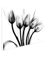 Empire Art Direct "Marching Tulips" Frameless Free Floating Tempered Glass Panel Graphic Wall Art, 32" x 48" x 0.2"