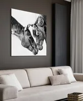 Empire Art Direct "Kindred Colts" Frameless Free Floating Tempered Glass Panel Graphic Wall Art, 38" x 38" x 0.2"