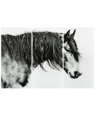 Empire Art Direct "Black and White Horse Portrait Iii Abc" Frameless Free Floating Tempered Glass Panel Graphic Wall Art Set of 3, 72" x 36" x 0.2" ea