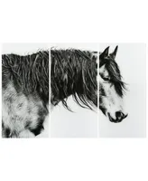 Empire Art Direct "Black and White Horse Portrait Iii Abc" Frameless Free Floating Tempered Glass Panel Graphic Wall Art Set of 3, 72" x 36" x 0.2" ea