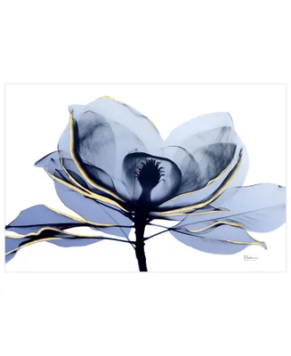 Empire Art Direct "Golden-Tone Midnight 2" Frameless Free Floating Tempered Glass Panel Graphic Wall Art, 32" x 48" x 0.2"