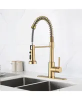 Streamdale Furniture Pull Down Sprayer Spring Kitchen Sink Faucet Brushed Gold