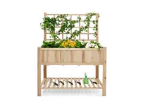 Raised Garden Bed Elevated Wooden Planter Box with Trellis