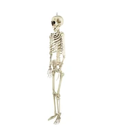 Life Size Skeleton Halloween Decoration, 5'