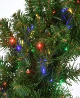 National Tree Company 24" Kingswood Fir Wreath with 250 Battery Operated Infinity Lights