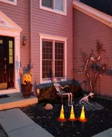 National Tree Company 23" 3-Piece Pre-Lit Candy Corn Witch's Hat Garden Stakes Set