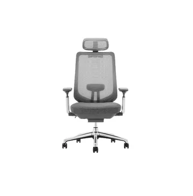 Atlas Ergonomic Mesh Back Office Chair with Slide Seat